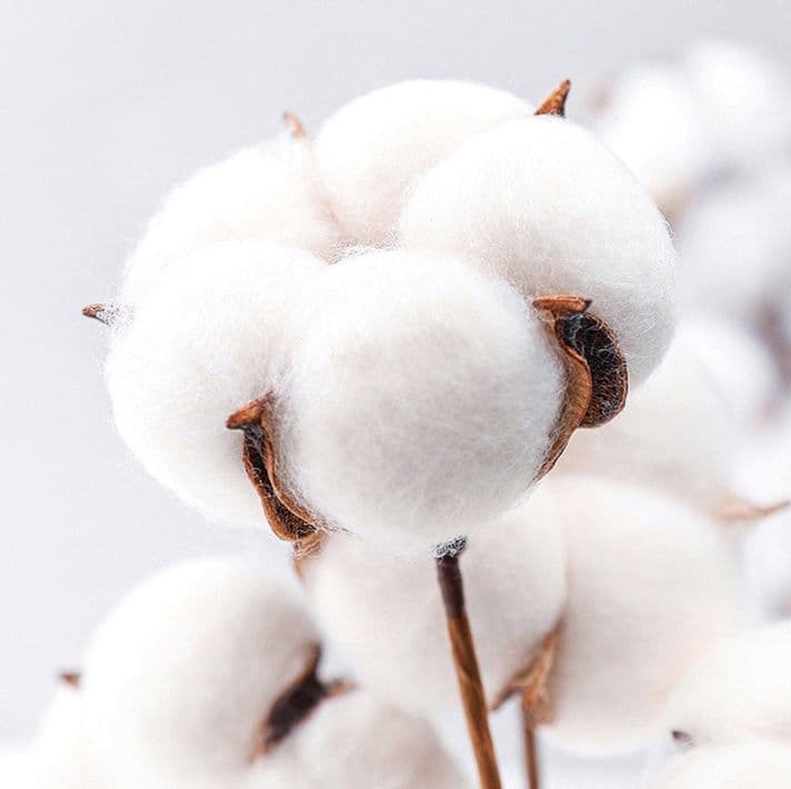 おくるみ 森の動物柄オーガニック綿おくるみ
